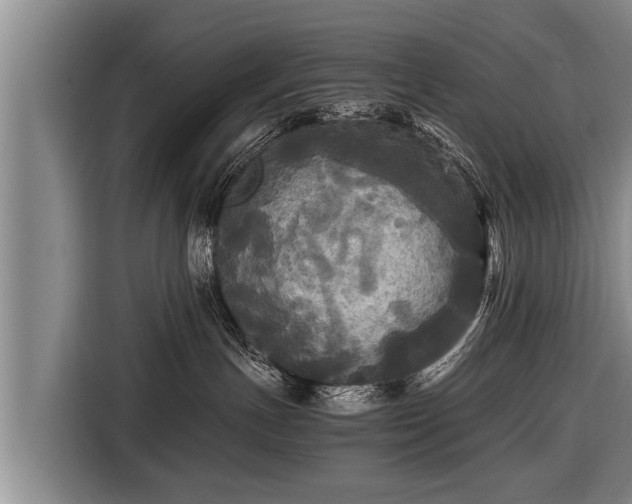 X0000116800191200912241208