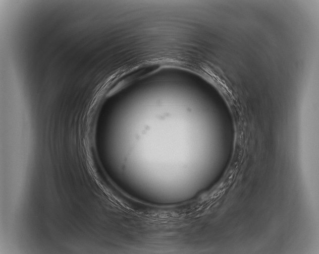 X0000116800193200912241208