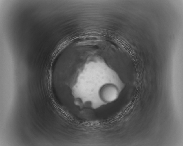 X0000116800194200912241208