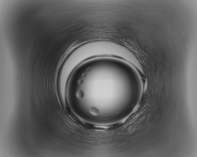 X0000116800195200912241208