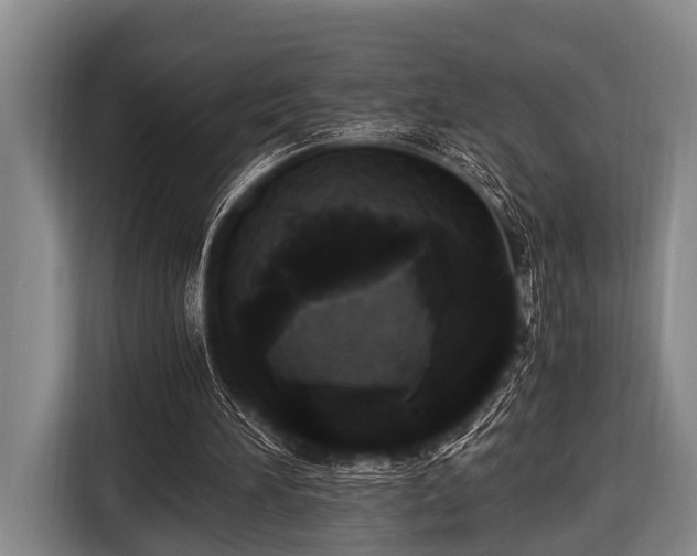 X0000116800196200912241208