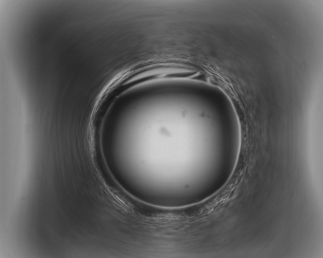 X0000116800197200912241208