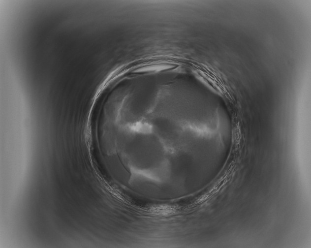 X0000116800198200912241208