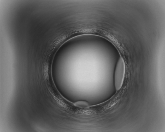 X0000116800201200912241208