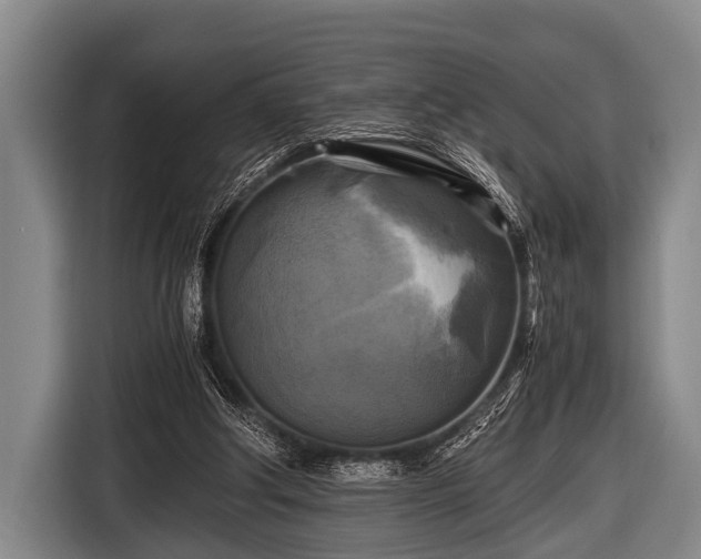 X0000116800202200912241208