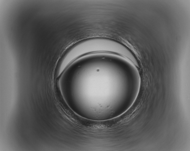 X0000116800203200912241208