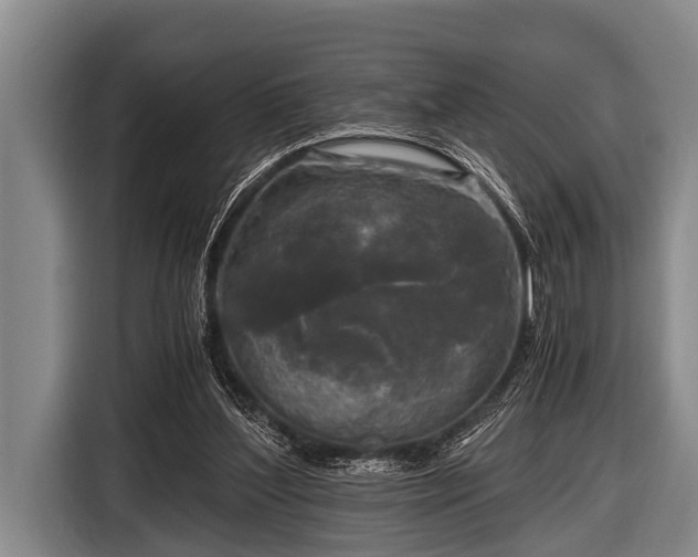 X0000116800204200912241208