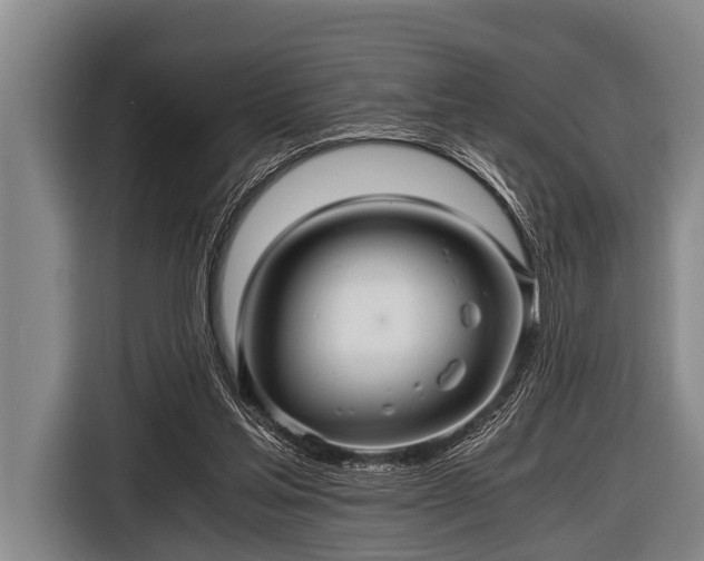 X0000116800205200912241208