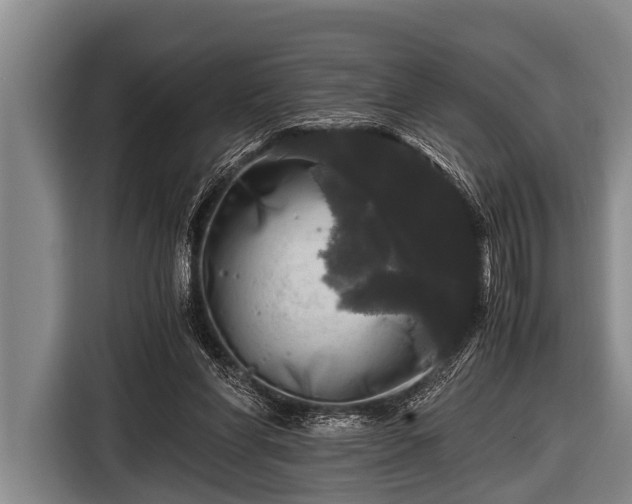 X0000116800206200912241208