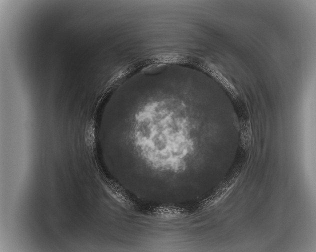 X0000116800207200912241208