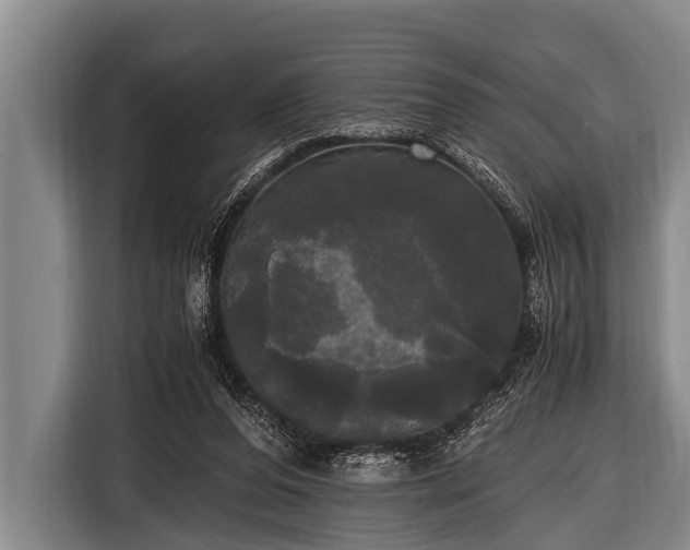 X0000116800208200912241208