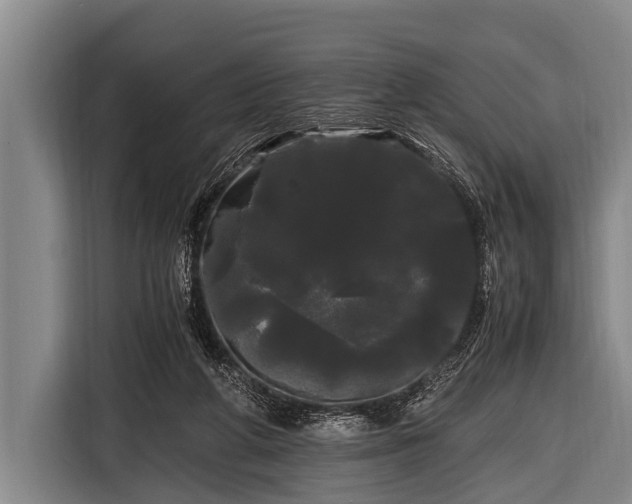 X0000116800210200912241208