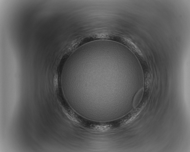 X0000116800213200912241208