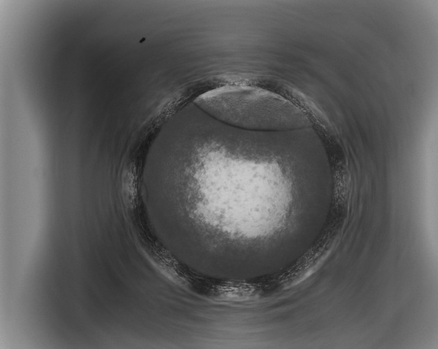 X0000116800215200912241207