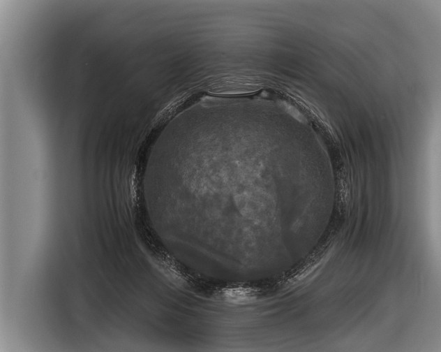 X0000116800216200912241207