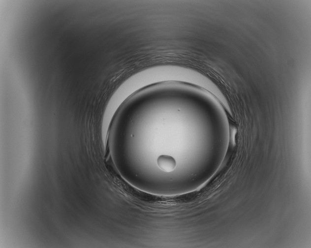 X0000116800219200912241207