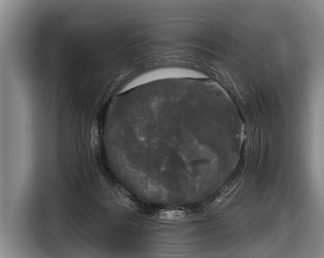 X0000116800220200912241207