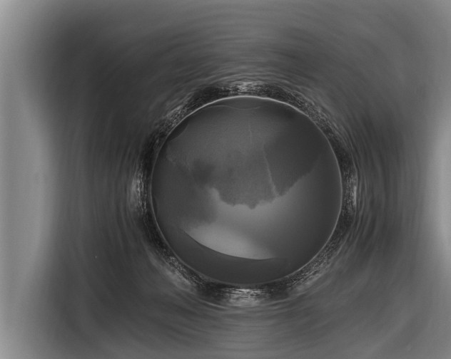 X0000116800222200912241207