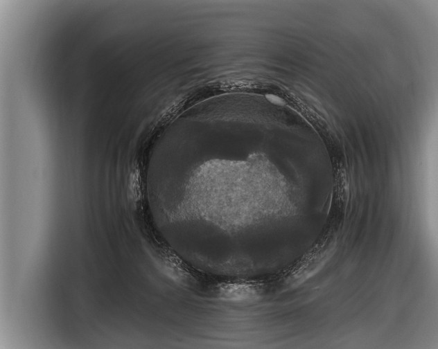 X0000116800224200912241207