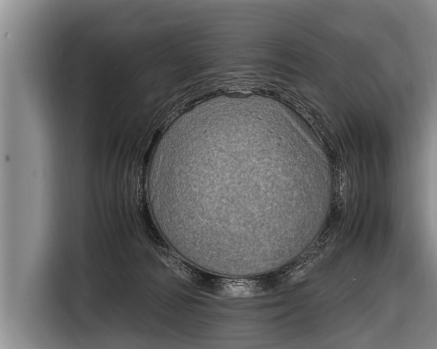 X0000116800226200912241207