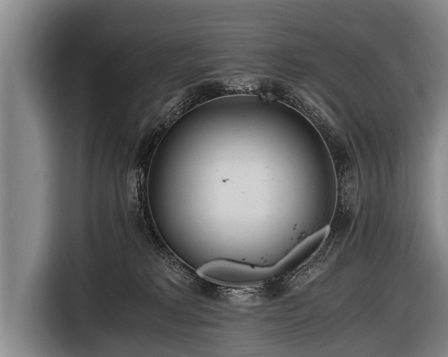 X0000116800229200912241207