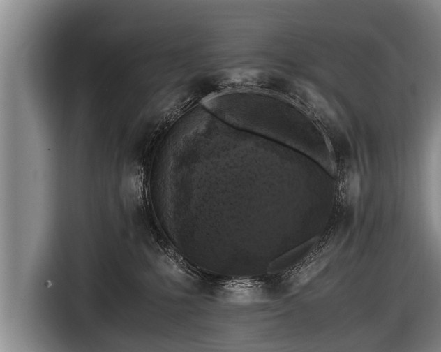 X0000116800231200912241207