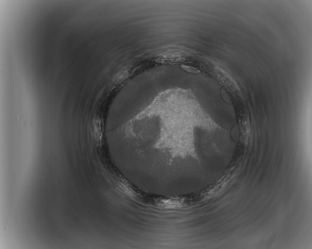 X0000116800232200912241207