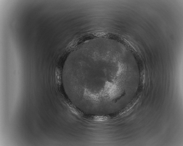 X0000116800234200912241207