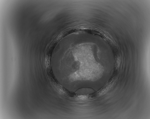 X0000116800236200912241207