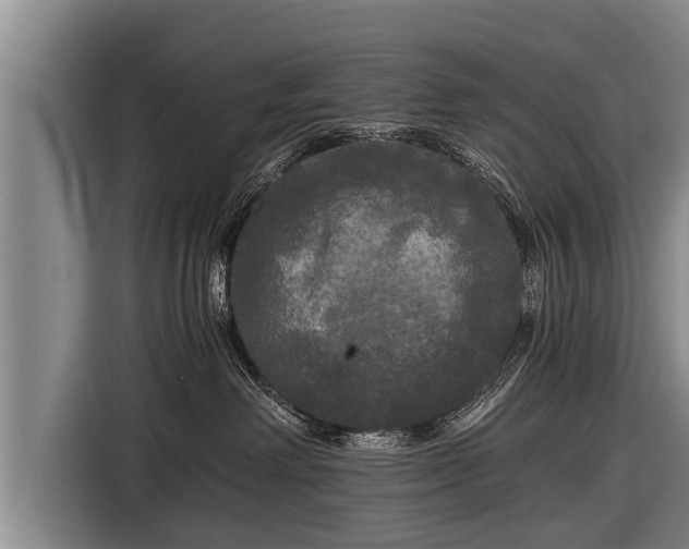 X0000116800238200912241207