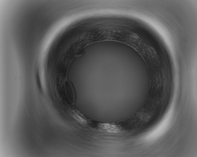 X0000116800239200912241207