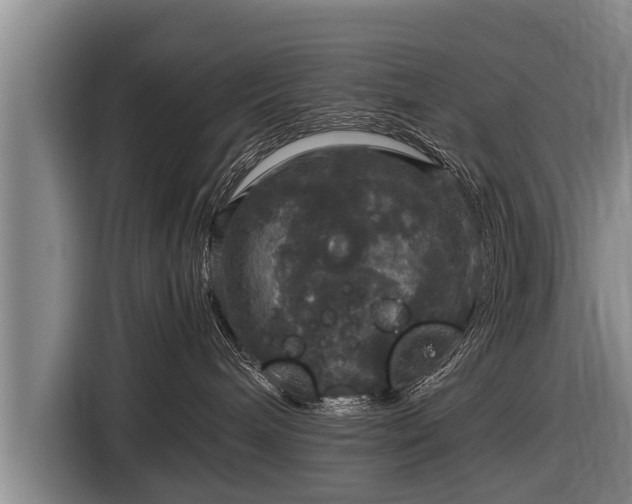 X0000116800240200912241207