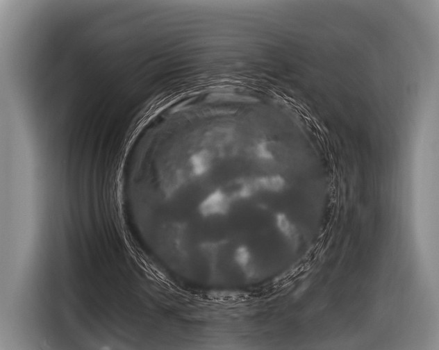 X0000116800242200912241207