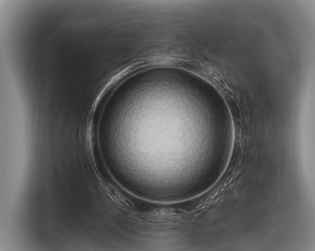 X0000116800244200912241207