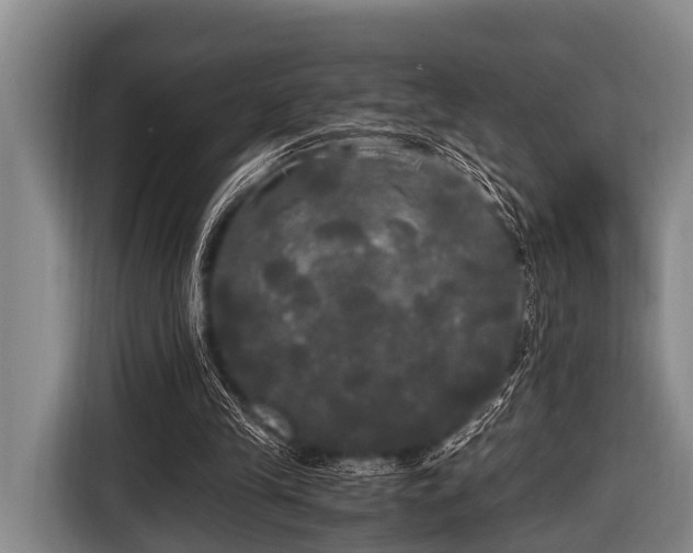 X0000116800245200912241207