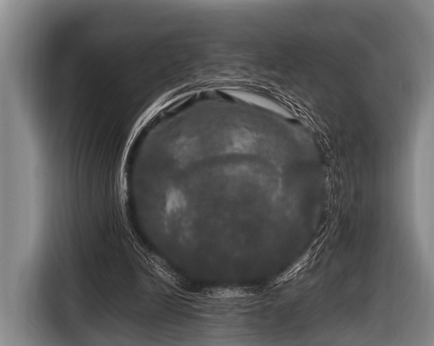 X0000116800246200912241207