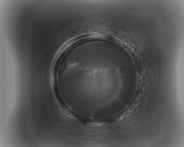 X0000116800247200912241207