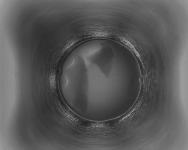 X0000116800249200912241207