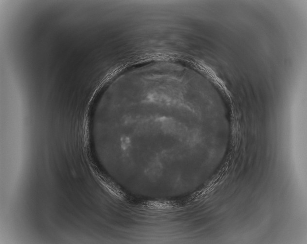 X0000116800250200912241207