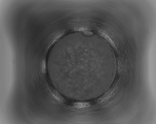 X0000116800251200912241207