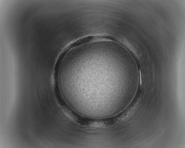 X0000116800252200912241207