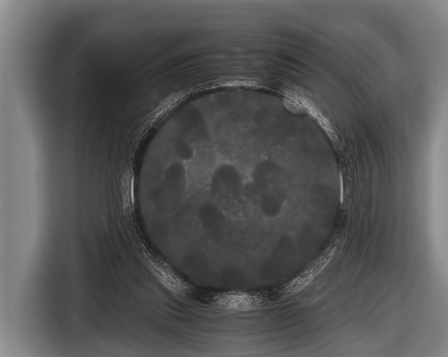 X0000116800253200912241207