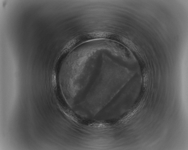 X0000116800254200912241207