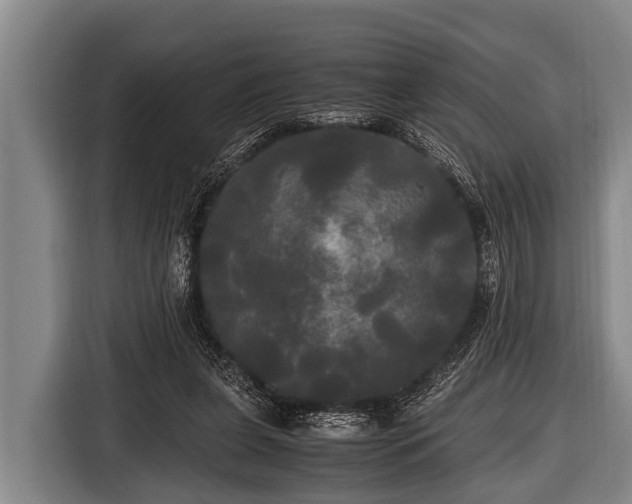 X0000116800255200912241207