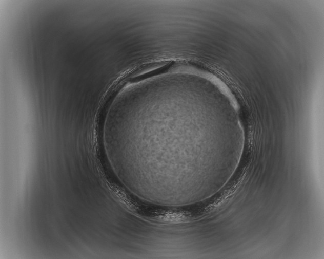 X0000116800256200912241207