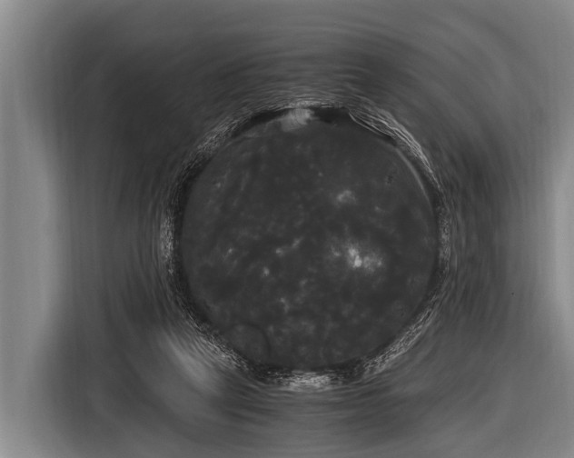 X0000116800257200912241207