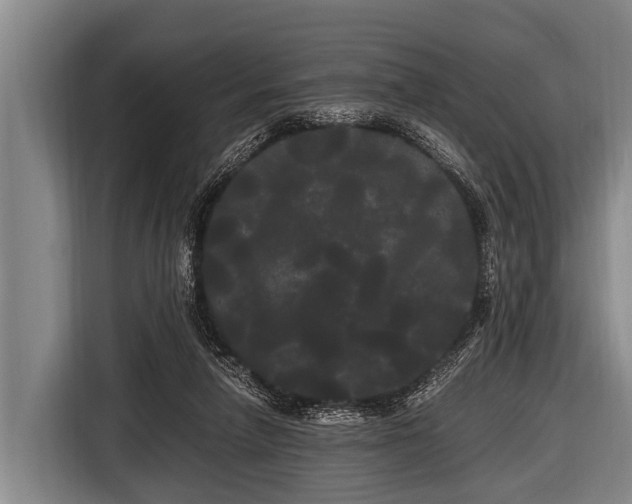 X0000116800258200912241207