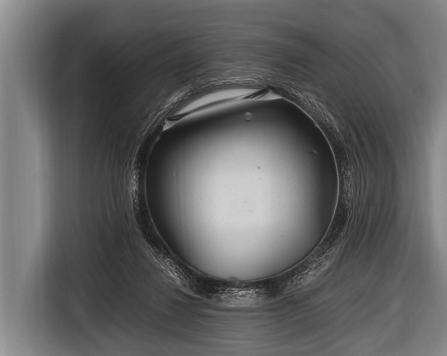 X0000116800260200912241207