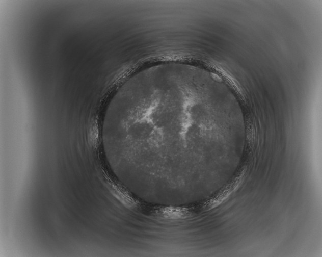 X0000116800261200912241207