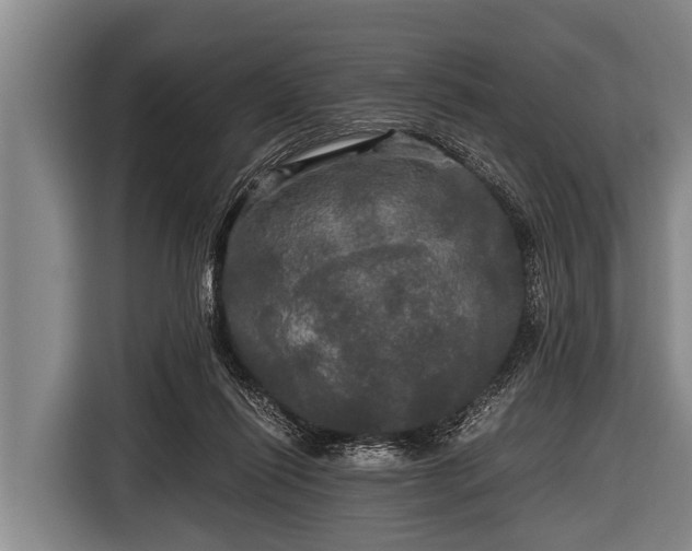 X0000116800262200912241207